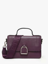 Small Leather Altesse Crossbody Bag Etrier Violet altesse EALT048S