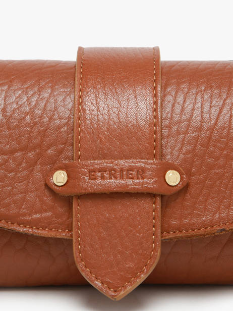 Shoulder Bag S Agnes Leather Etrier Brown agnes EAGC205S other view 3